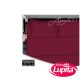 SABANAS MF MERLOT INDIVIDUAL (Aprezzio)