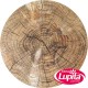 MANTELES INDIVIDUALES ROBLE (Vianney 23)