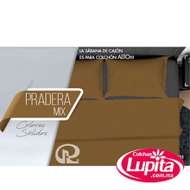 SABANAS INVERNALES PRADERA MATRIMONIAL (Regina)