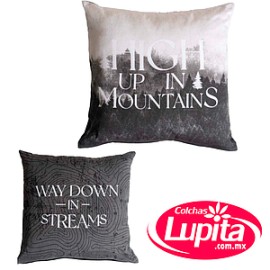 COJIN FOREST (Vianney)